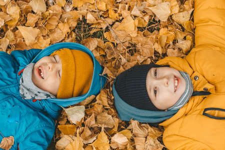 children lie on yellow leaves on the ground. boys in jacket, scatters leaves in an autumn park. The...