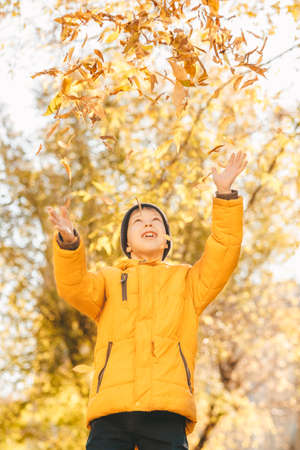 boy in a yellow jacket, scatters leaves in an autumn park. The child rejoices in the autumn leaves. Happy childhood. Bright yellow jacket and leavesの写真素材