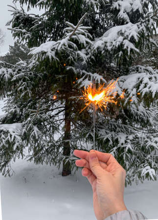 sparkler in the hands of coupon plates, against the background of a Christmas tree and snow. Fireworks in the hands on the street in winterの写真素材