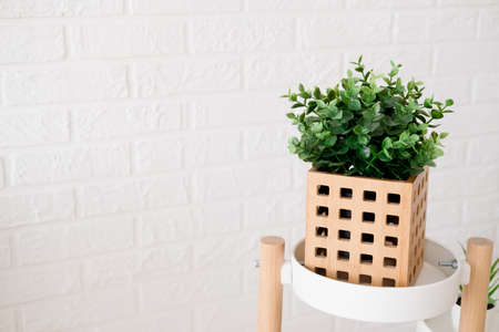 artificial plant in a wooden pot, close-upの写真素材