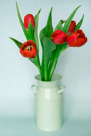 a bouquet of red tulips in an iron jar, on a light backgroundの写真素材