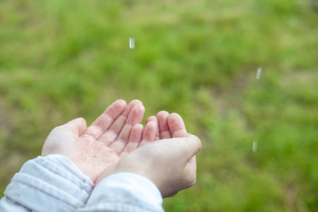 open palms during the rain, close-up. Hands collect water during the rain. enjoy the rain. cleansing during a rainstorm. Pray to God asking for rainの写真素材