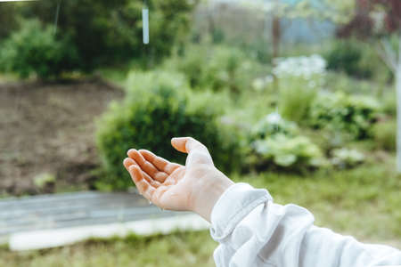 open palms during the rain, close-up. Hands collect water during the rain. enjoy the rainの写真素材