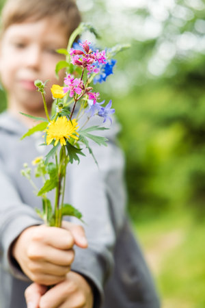 a bouquet of wild flowers in the hands of a boy, close-upの写真素材