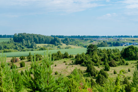 Rural landscape of Tatarstan. Green hills with trees and meadows, top viewの写真素材