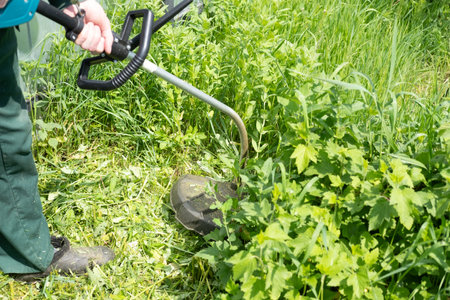 man mows lawn grass with a lawn mower. petrol lawn mower, trimmer close-up. man working in the gardenの写真素材
