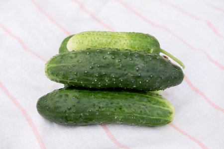 ripe cucumbers on a striped tableclothの写真素材
