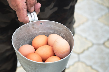 fresh eggs in an iron ladle after being collected from hens. Ecologically clean eggs grown in the villageの写真素材