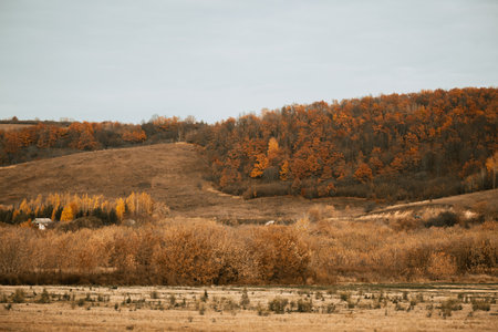 Incredibly beautiful view of the hills and autumn forest.の写真素材