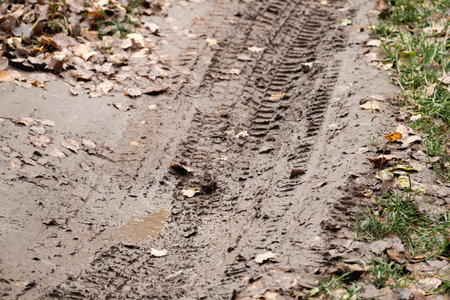 off-road on a forest road made of mud after rainの写真素材