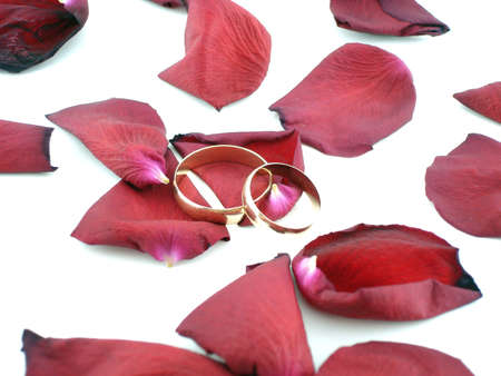     wedding rings on the petals                           の写真素材