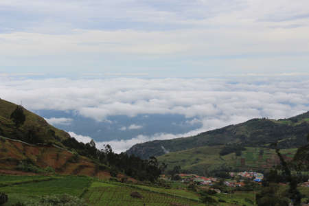 The View