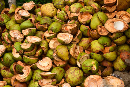 fresh coconut cutted in the Philippines Asianの写真素材