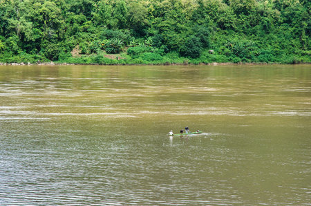 Mekong River at Luang Prabang, beatiful river beetwen mountain forest. High quality photoの写真素材