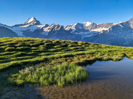 Mountain lake in the bernese oberland. Bachsee near Grindelwald and Interlaken. Beautiful sunrise mood. Bachsee. High quality photoの写真素材