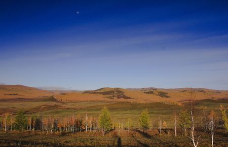 National Nature Reserve in Inner Mongolia Autonomous Region of China forest park Hulunbeier