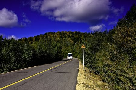 Asian forest ecosystem in China's Inner Mongolia Hulunbeier Parkの写真素材