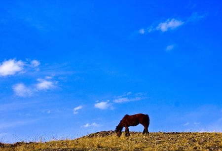 China and Mongolia in Asia Maの写真素材
