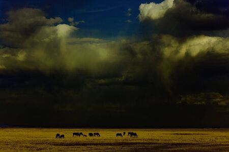 China's Inner Mongolia prairie Hulunbeier - Ranchの写真素材