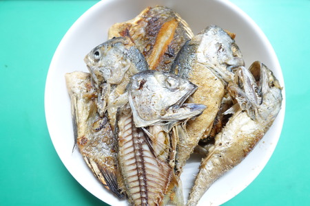 tuna food