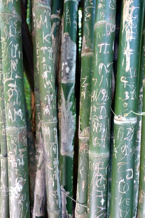 bamboo erawanの写真素材