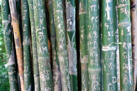 bamboo erawanの写真素材