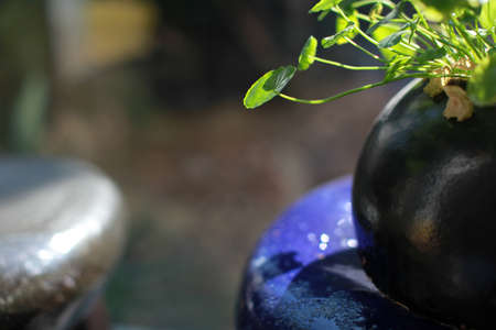 Greeneryの写真素材