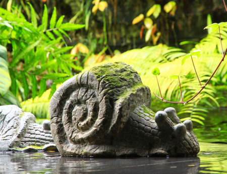 Stone Snailの写真素材