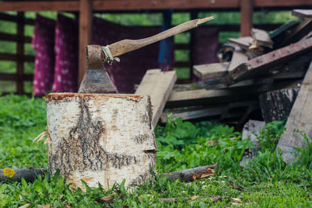 Axe on log with green grass and wood