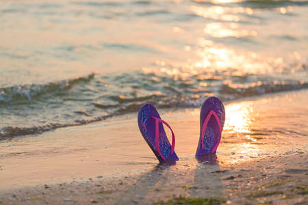 Summer vacation concept. Colorful flip flops on the sandy beach during sunset.の写真素材