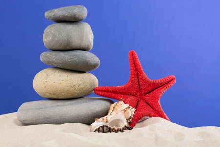 Vacation concept. Red starfish, seashell with nice stones put on each other against nice blue background.の写真素材