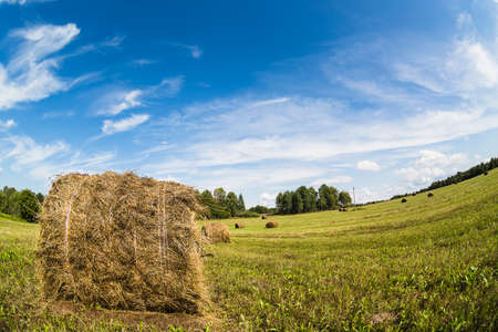 Haystack rolls on the field with green grass and cloudy blue sky. Fish-eye lens.の写真素材