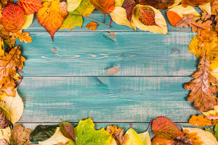 Autumn concept. Frame composed of colorful autumn leaves on green wooden background.の写真素材