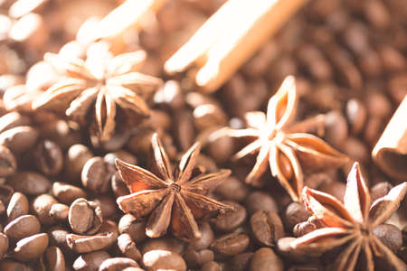 Anis, coffee beans and cinnamon sticks. Close upの写真素材