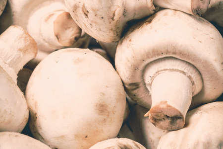 Fresh mushrooms champignon background. Close up shotの写真素材