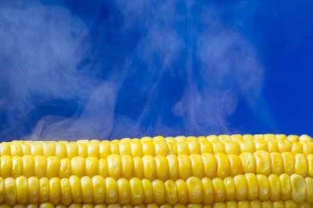 Steaming corn close up on blue backgroundの写真素材