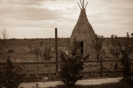 Teepee aka wigwam in the field with young trees. Vintage sepia toned image.の写真素材