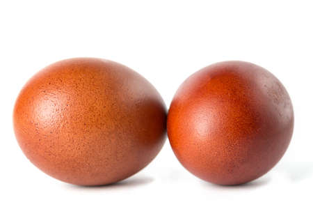 Brown easter eggs isolated on white backgroundの写真素材