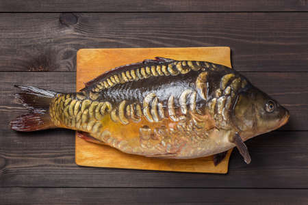 Mirror carp river fish on dark wooden table.