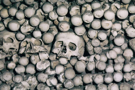 Human bones and skulls as a background.の写真素材