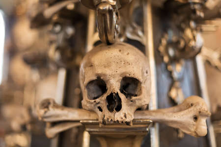 Ancient human skull and bone decoration in Sedlec, Czech republic. Kutna Hora.の写真素材