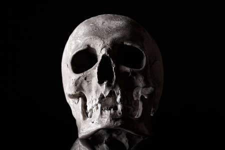 Human skull on a black background with reflection.の写真素材
