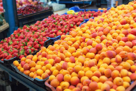 Freshly picked organic apricots and strawberry the farmers market in Budapest, Hungary.の写真素材