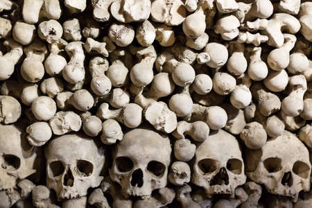 Human bones and skulls as a background.