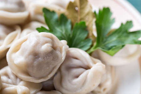 Homemade Meat Dumplings russian pelmeni with parsley close up.の写真素材