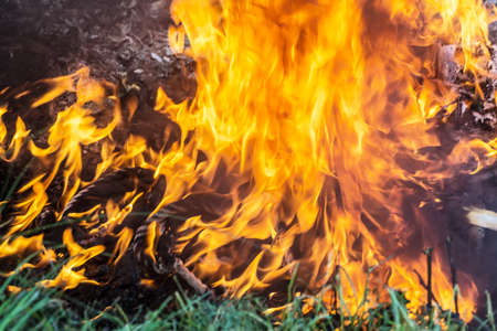 Blaze fire flame close up texture backgroundの写真素材