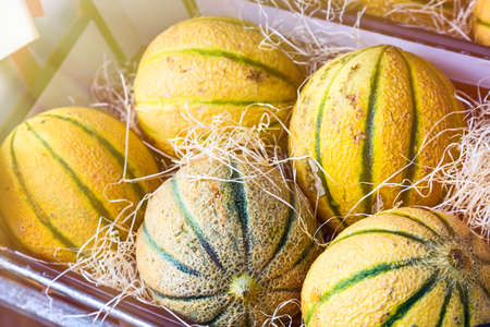 Ripe fresh melons box on a farmers market. Selective focus with sunlight.の写真素材
