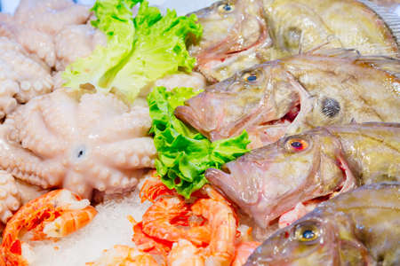 Fresh seafood red shrimps, fish, calamary meat, octopus on ice at traditional seafood restaurant in Venice, Italy. Outdoor terraceの写真素材