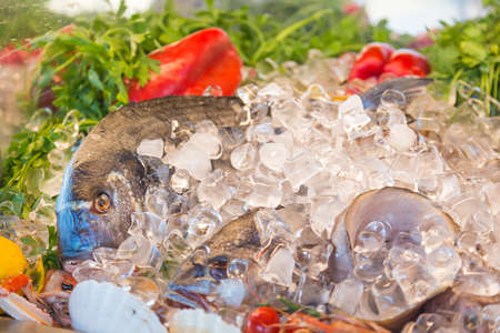 Fresh seafood. Fish, herbs and pepper on ice at traditional seafood restaurant in Venice, Italy. Outdoor terraceの写真素材