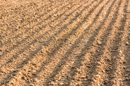 Furrows row pattern in a plowed field. Background or texture with selective focus